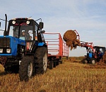 Астраханский минсельхоз начал прием заявок на гранты для аграриев