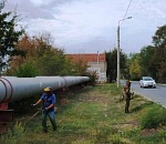 В сентябре в Астрахани скосили свыше 55 гектаров сорной растительности