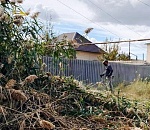 В Астрахани скосили почти 45 гектаров сорной растительности