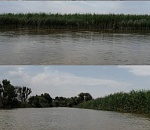 Для прохода рыб к местам нереста в Астраханской области расчистили 4 тысячи гектаров растительности