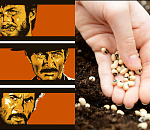 Хороший, плохой, злой: ближайшие годы семенной селекции в Астраханской области и России  могут превратиться в вестерн