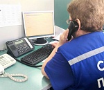 Около 7 тысяч звонков поступило на телефоны «Горячей линии» регионального минздрава