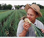 Сотне начинающих астраханских фермеров помогут деньгами