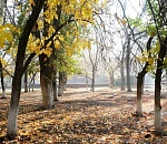 Астраханцам и их автомобилям ограничивают пребывание в лесах