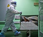 За сутки ещё 269 астраханцев заразились коронавирусом, 12 человек скончалось