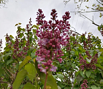 Погода в Астрахани идет на поправку