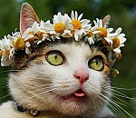 В Астрахань пришло лето