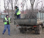 В астраханском Парке велосипедистов проводят омолаживающую обрезку деревьев