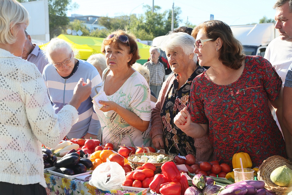 С фермерского хозяйства прямиком на прилавок