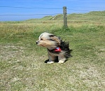 Завтра астраханцев ждёт дождь и сильный ветер