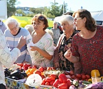 С фермерского хозяйства прямиком на прилавок