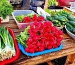 В эту субботу для астраханцев на рынке «Кутум» пройдёт праздничная сельхозярмарка