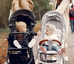 В Астраханской области теперь проживают Мадонна и Бриллиант