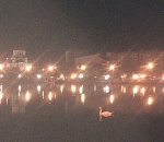 Астраханцы беспокоятся о лебеде, который улетел с Лебединого озера