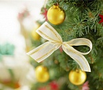 Куда астраханцам отправиться на новогодних каникулах?