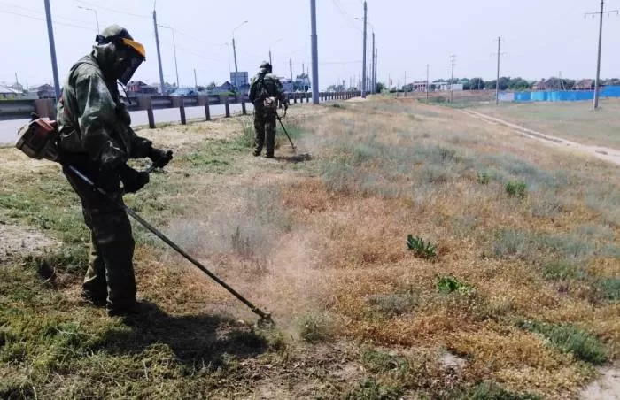 В Астрахани с начала года скосили более миллиона «квадратов» сорной травы