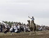 В Астраханской области на единственных в России верблюжьих бегах победила Лада