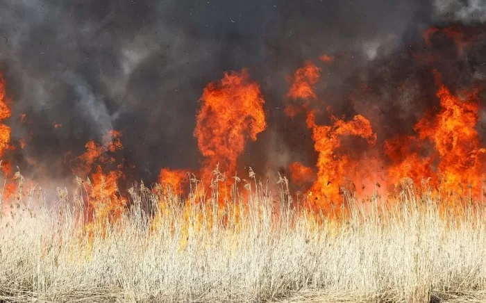 Крупный ландшафтный пожар в микрорайоне Бабаевского грозит заполнить гарью воздух над Астраханью и еще тремя районами