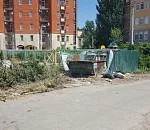 В центре Астрахани дохлая собака отравляет округу