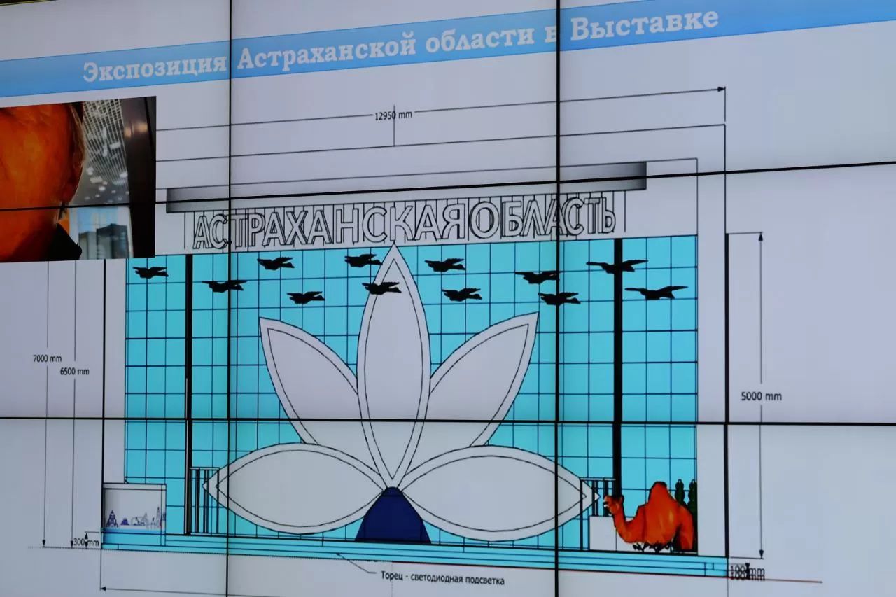 На ВДНХ в Москве до конца октября построят  павильон Астраханской области