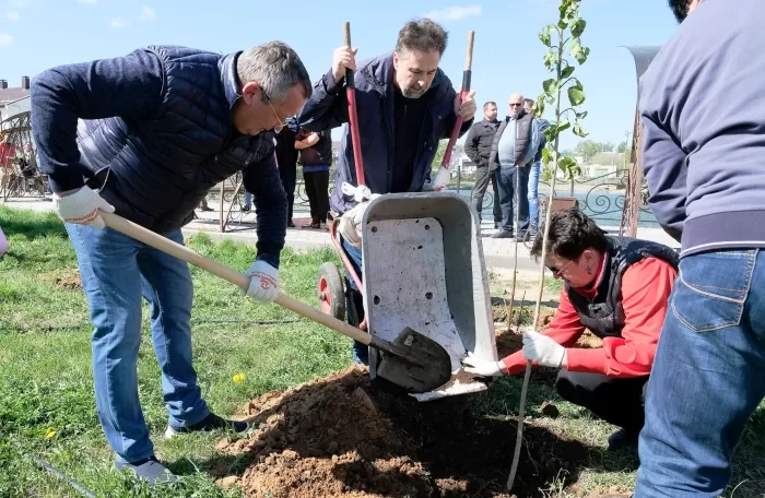 Астраханские депутаты высадили деревья на территории больницы имени Кирова