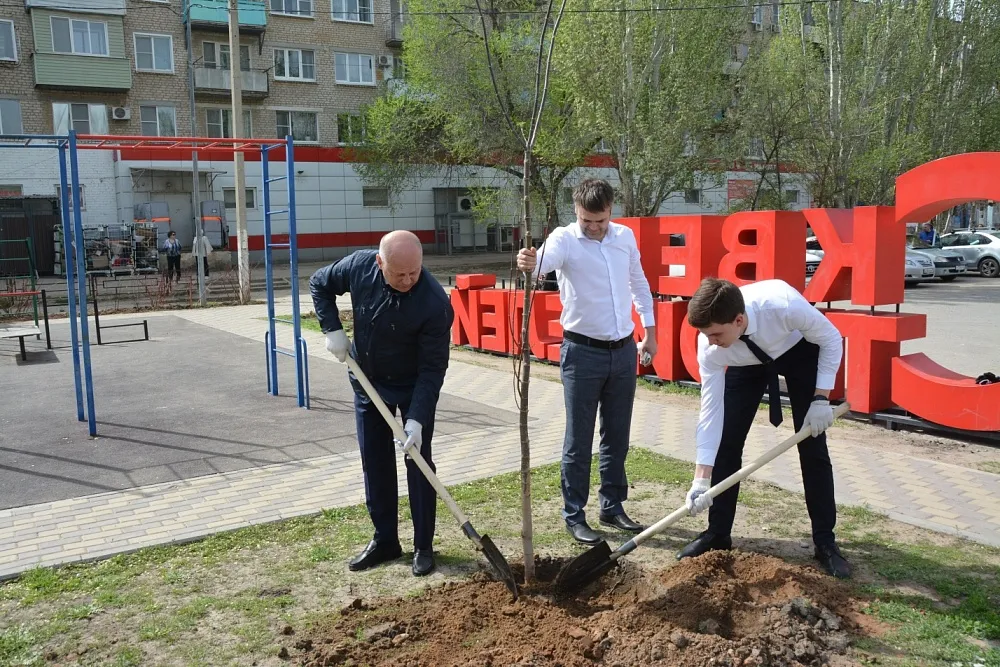 Весь покрытый зеленью, абсолютно весь: в новом сквере в Астрахани высадили десятки деревьев