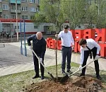 Весь покрытый зеленью, абсолютно весь: в новом сквере в Астрахани высадили десятки деревьев