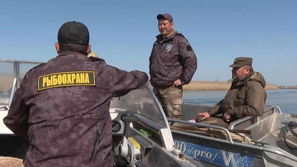 В Астраханской области рыбаков-любителей штрафуют за перелов, мелкую рыбу и рыбалку в запрещенных местах