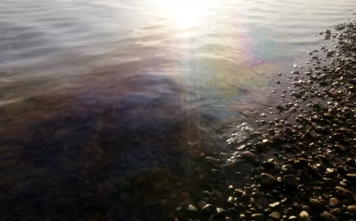 На правобережной стороне Астрахани обнаружили большое маслянистое пятно на речной поверхности