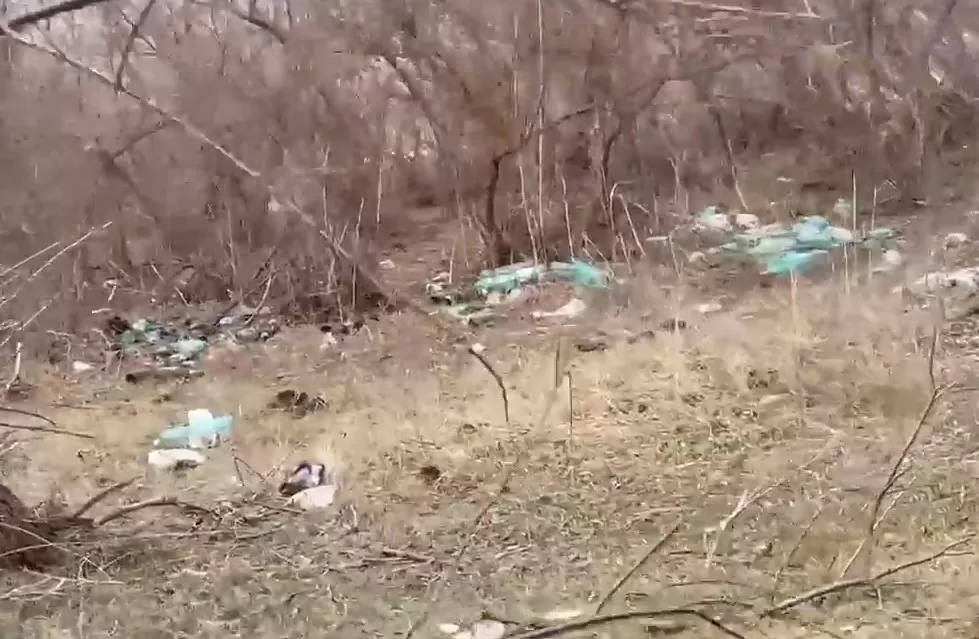 Местные или приезжие? Астраханцы гадают, кто "нагадил" на берегу в Камызякском районе: видео