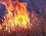 На северо-востоке Астрахани экипажи МЧС сражаются с ландшафтным пожаром