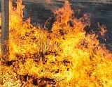 В Астрахани мощный ландшафтный пожар, спасатели реагируют по повышенному рангу
