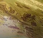 В Астраханской области на реке и ерике обнаружили нефтяные разливы 