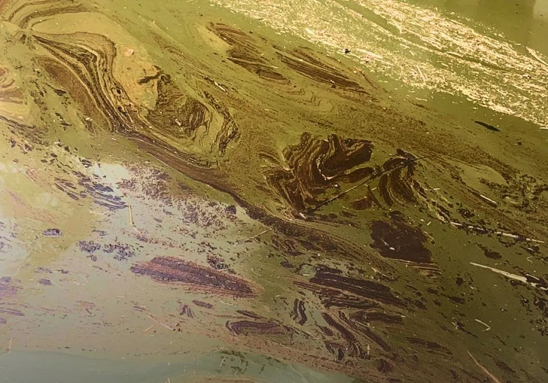 В Астраханской области на реке и ерике обнаружили нефтяные разливы 
