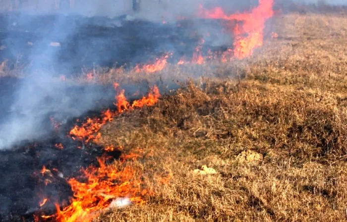 Севернее Астрахани пожарные сражаются с еще двумя пейзажными пожарами