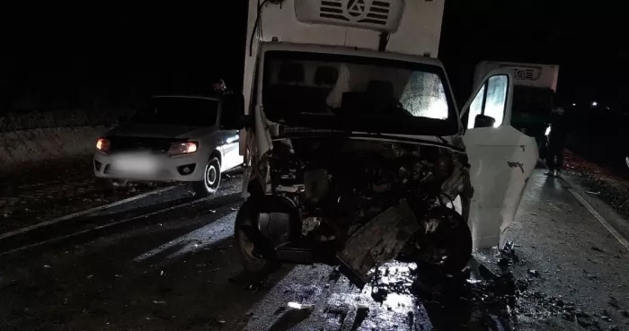 На вечерней дороге под Астраханью из-за коровы столкнулись две «Лады» и грузовик 