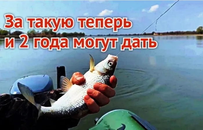Суббота, 6-е: что рыбаков ждет послезавтра в Астраханской области – после вступления запрета на воблу