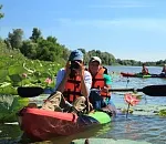 Астраханцам предлагают решить: нужно ли вводить в регионе курортный сбор для туристов