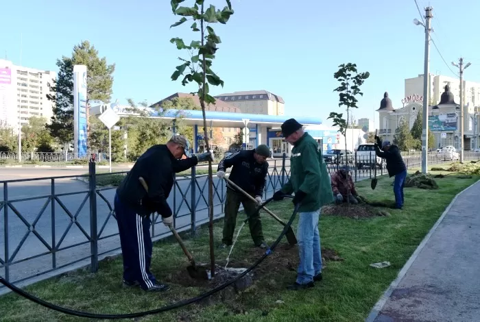 До конца осени в Астрахани высадят 3 000 деревьев