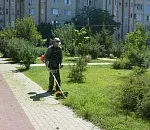 Озеленители вышли на центральную набережную Астрахани