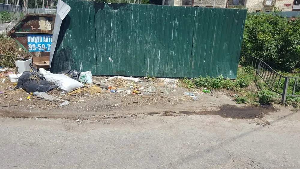 Труп собаки в центре Астрахани убрали