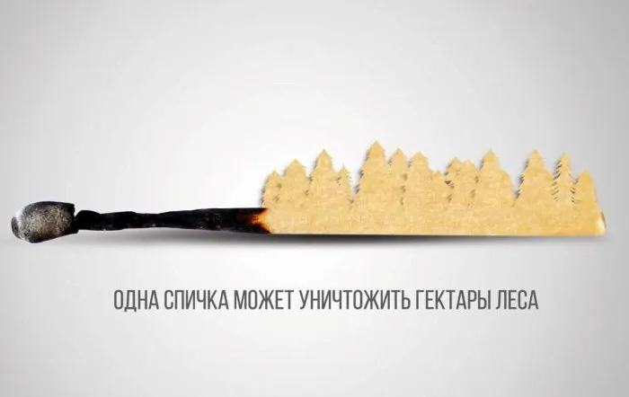 В Астраханской области  с 1 марта начнется пожароопасный сезон в лесном фонде