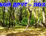 В Астраханской области на каждого жителя в лесу приходится 33 дерева