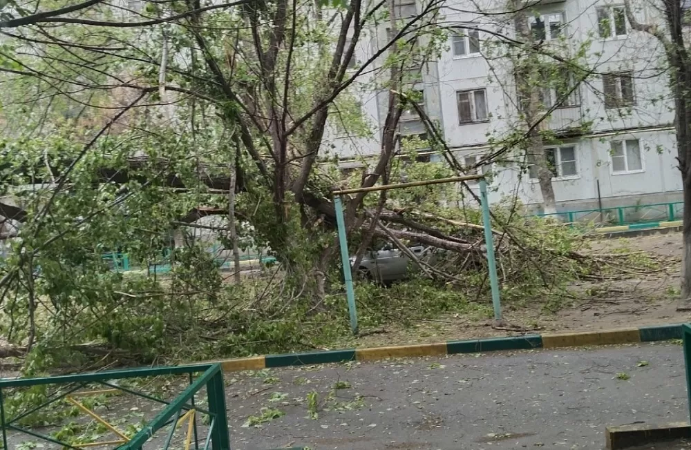 В Астрахани ветер рвал провода и валил деревья 