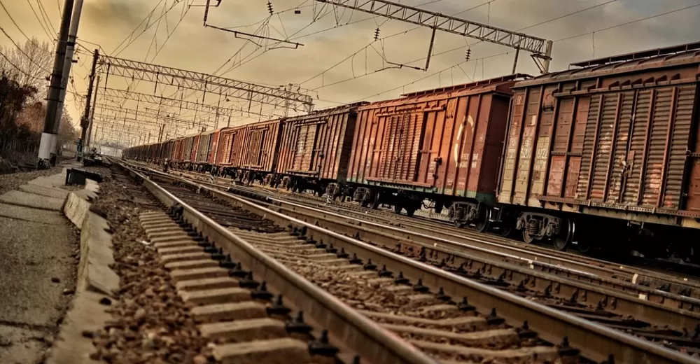 Астраханские погранцы сняли делового нелегала с грузового поезда