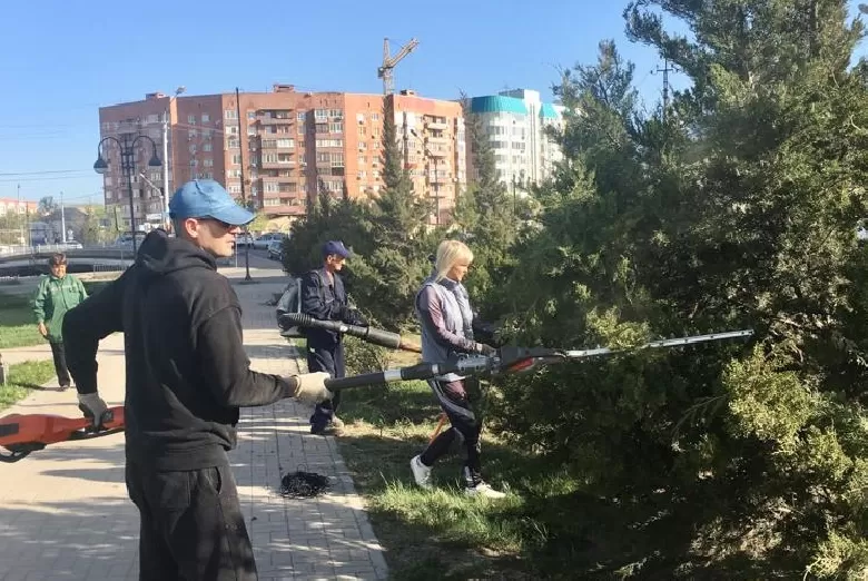Астраханские хвойные деревья приводят в порядок