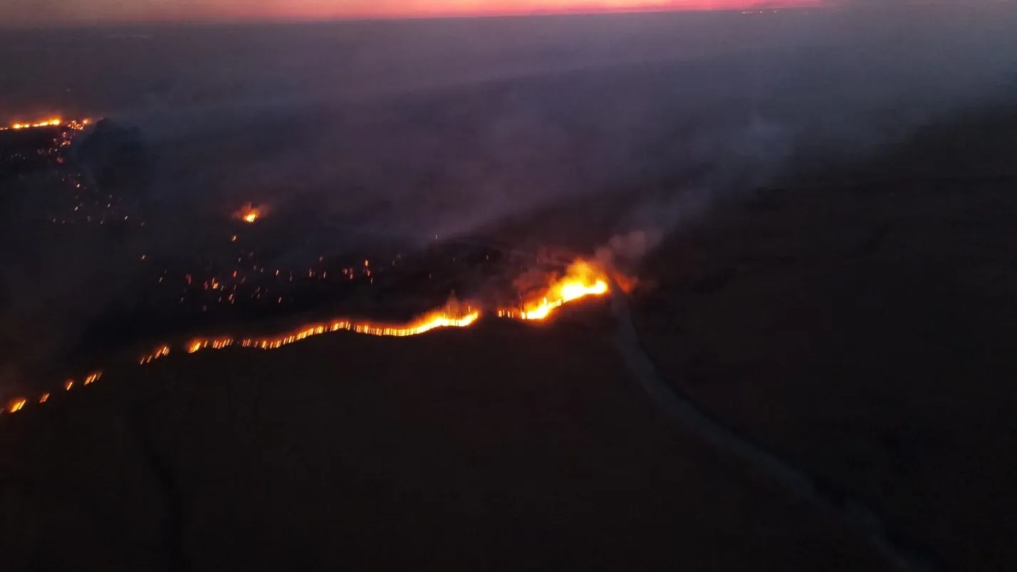Первый в этом году пожар в Астраханском заповеднике выжег 850 га земли
