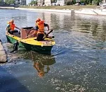 Астраханские каналы начали очищать от мусора 
