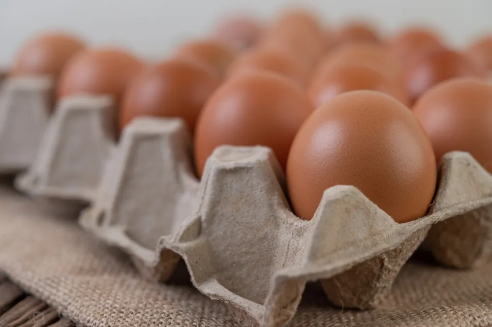 Не по талонам, но графику: в Астрахани начали продавать яйца по сниженным ценам 