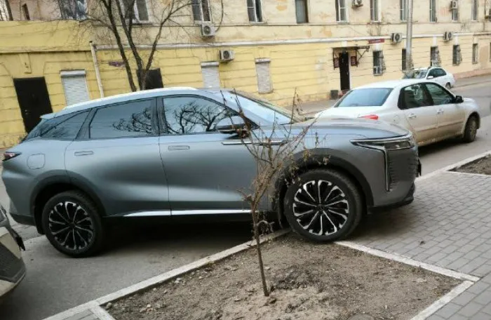 В Астрахани полиция через Сеть нашла любителей тротуарных автопарковщиков и лихачей